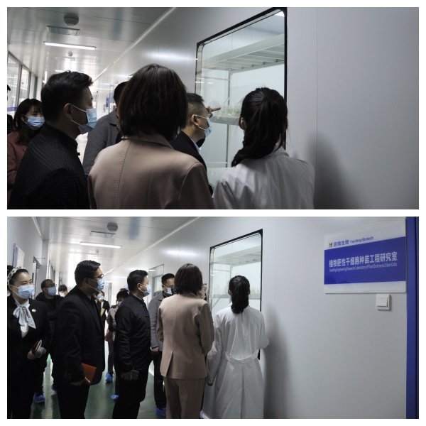 新闻4 新闻4.jpg