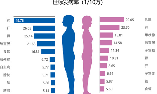 国度癌症中心：2022年全国癌症汇报
