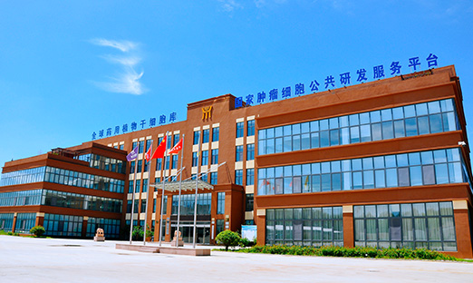 喜报！米乐集团生物牵头项目获批科技部国度沉点研发打算沉点专项