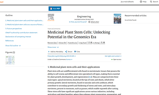 米乐集团细胞生物植物干细胞钻研荣登国际顶刊《Engineering》