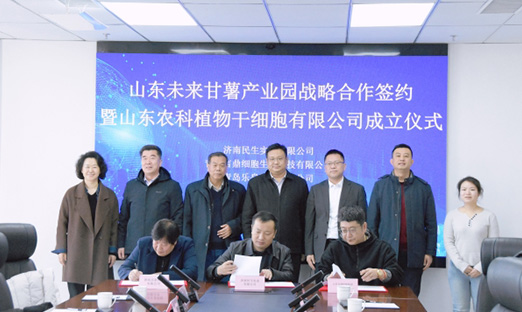 聚力种业创新，，，，，，，，共筑薯业将来 | 米乐集团集团携手战术同伴，，，，，，，，共建“山东将来番薯产业园”