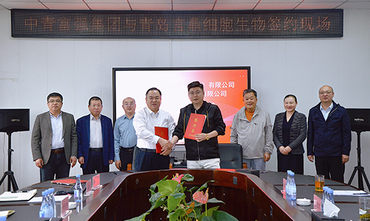 强强结合，，，，，，，，米乐集团细胞生物与中青强盛集团进行战术合作签约典礼，，，，，，，，共建人参将来产业园